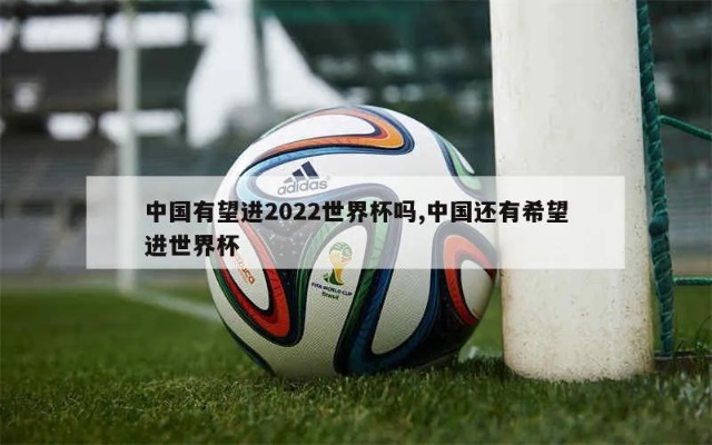 中国申办世界杯2022 中国申办世界杯了吗-第2张图片-www.211178.com_果博福布斯