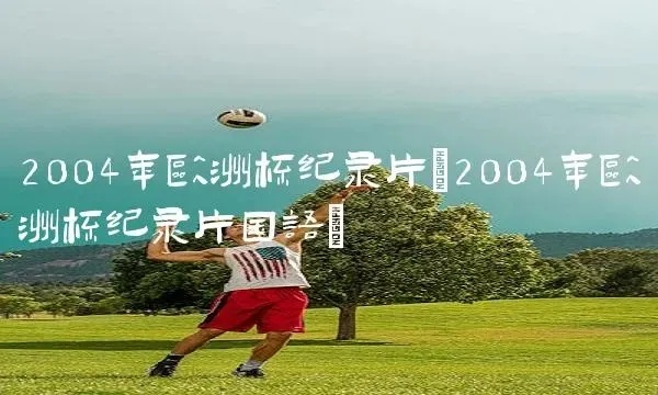 2003欧洲杯纪录片 探索欧洲杯历史的经典回顾